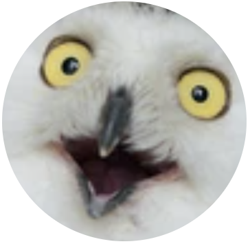 Picture of happy a happy owl.